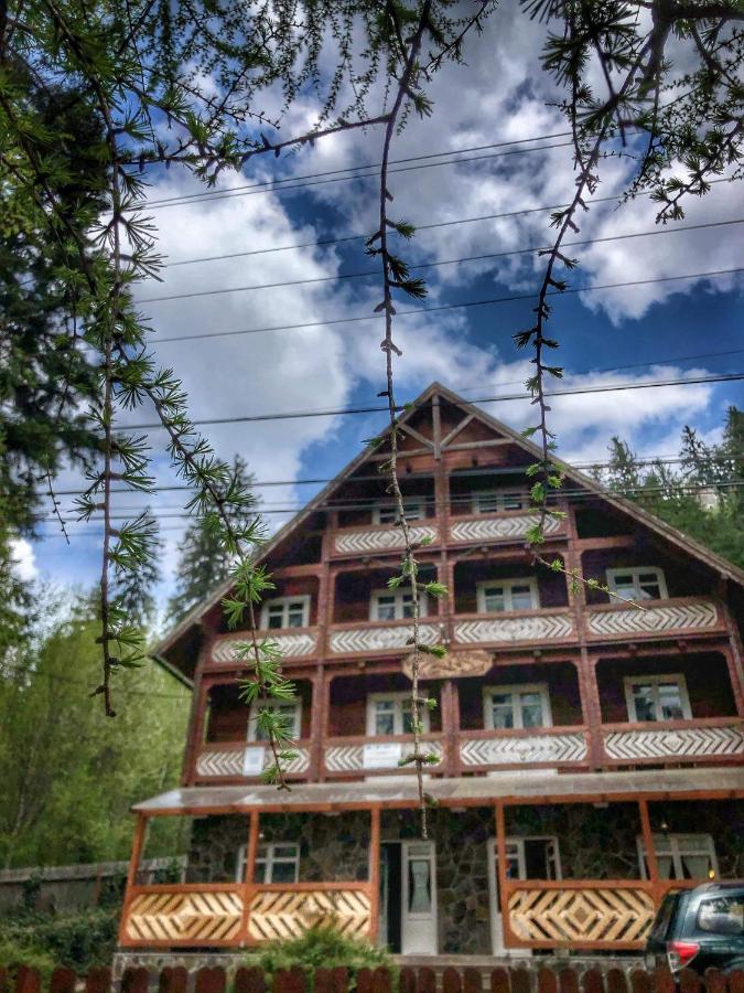 Pensiunea Vanatorul Бэиле-Тушнад Экстерьер фото